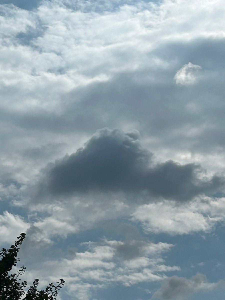 simpl252 tweet picture