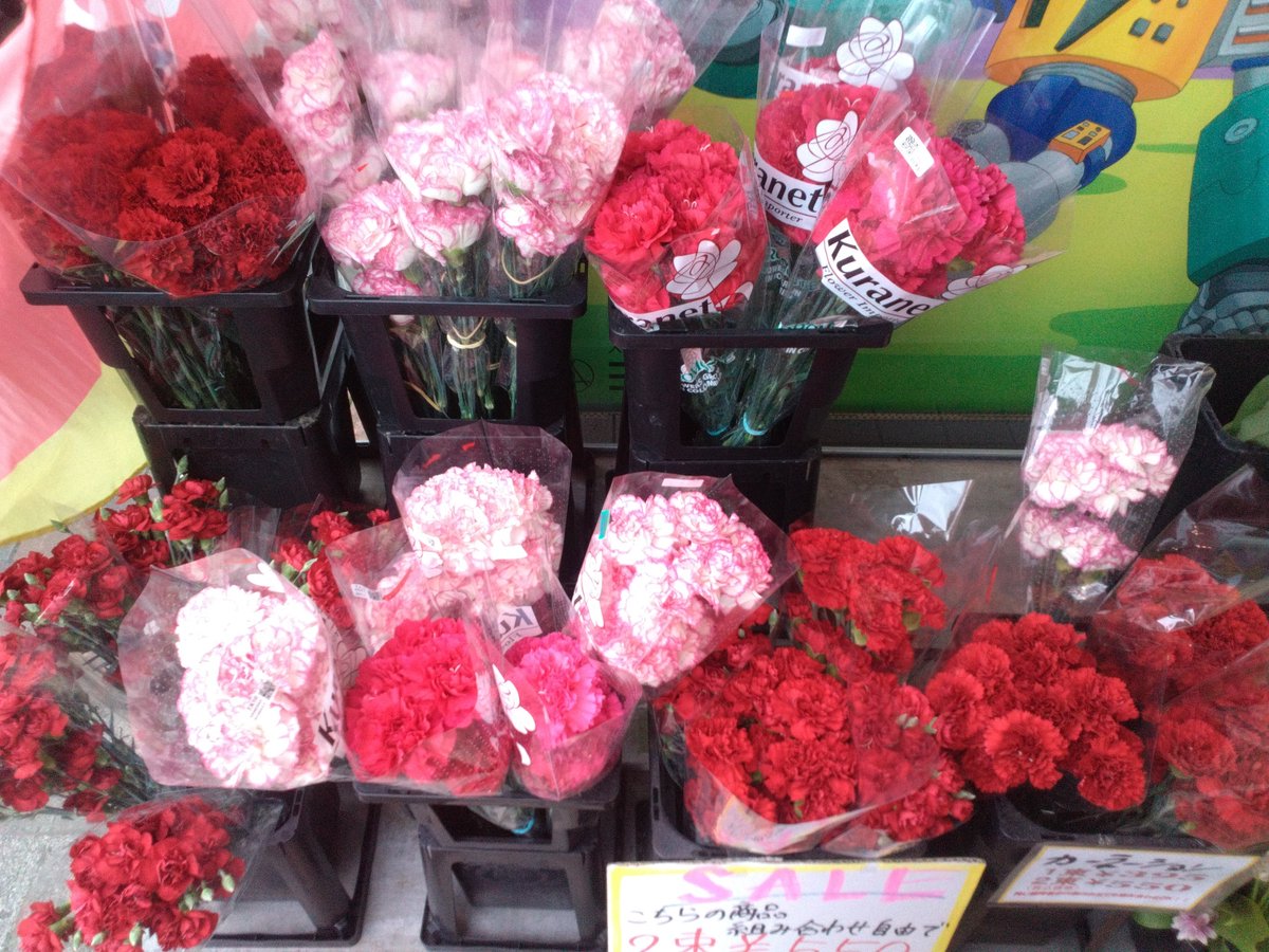 WF_bessho's tweet photo. おはようございます☁🌬️✨️
ワールドフラワー開店致しました！

本日は、切り花の入荷日となっております！
新鮮な切花が大変お買い得となっております！

お祝いや御供えに【胡蝶蘭】

お庭で毎年お仏花を収穫
タダで御供え【ガーデンマム】

是非ご来店ください

#ワールドフラワー　#上大岡　#別所 https://t.co/7vXtv3uPpV