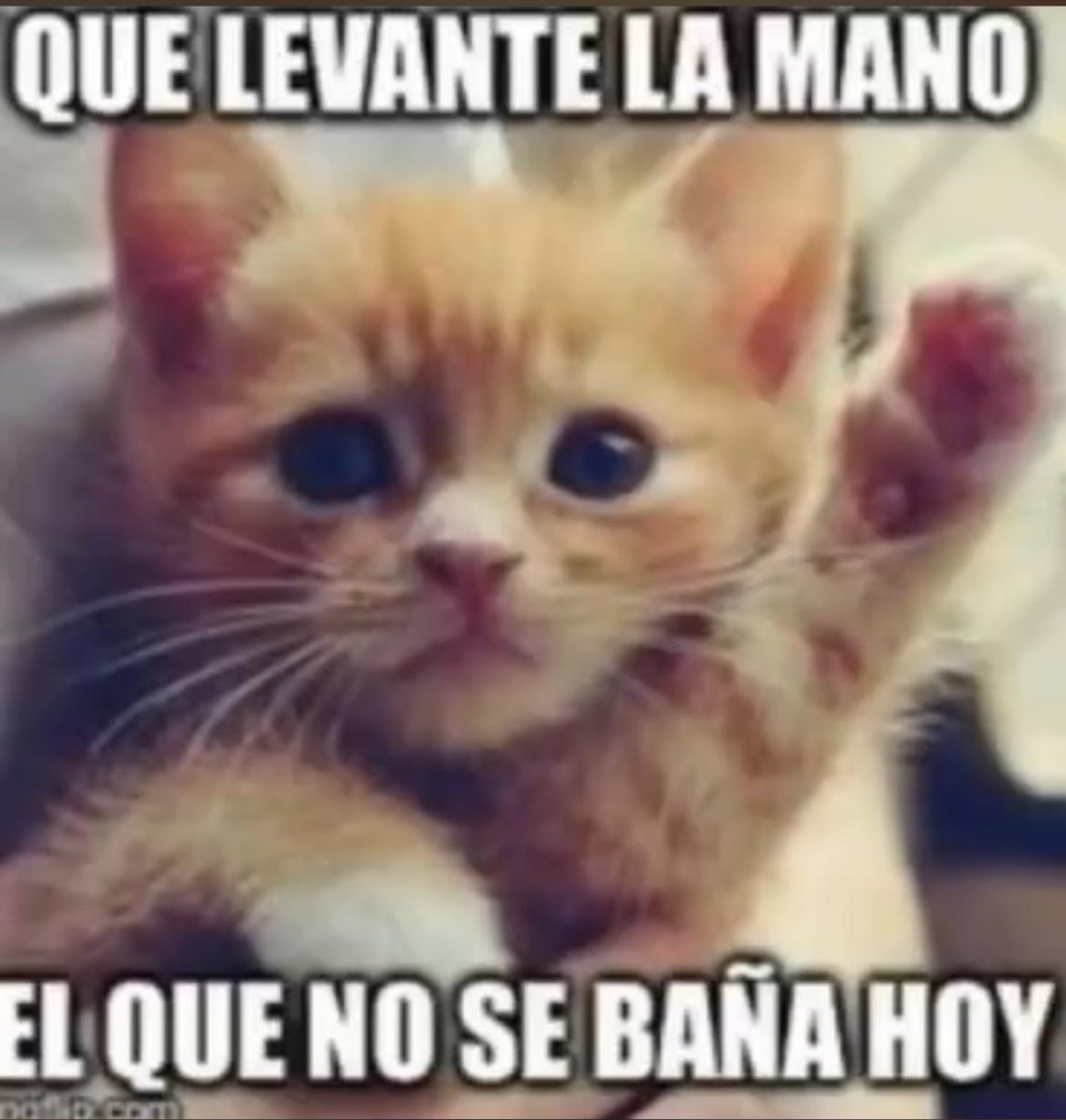 joyr7de's tweet photo. YA CASI SOMOS 100 MILLONES DE PERSONAS https://t.co/y7Ff3yXwIG