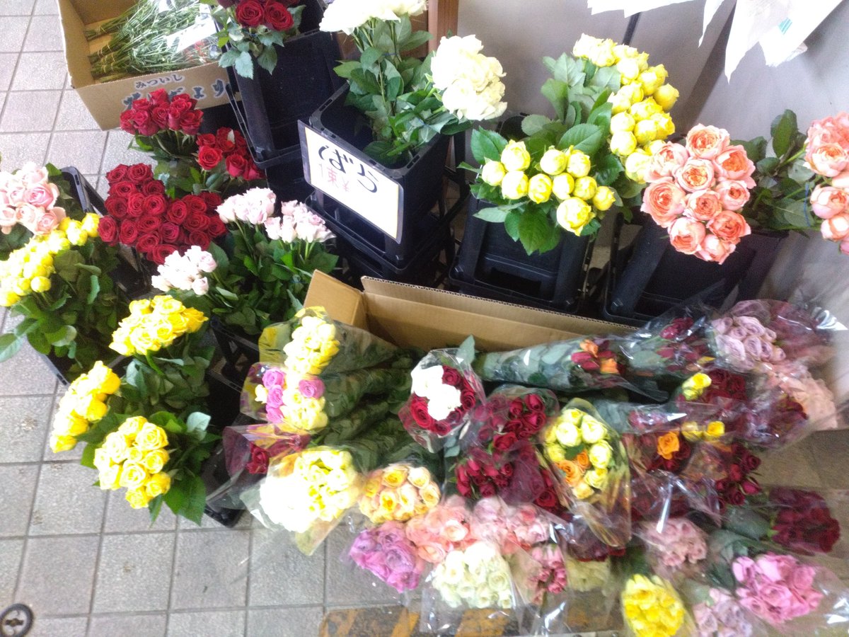 WF_bessho's tweet photo. おはようございます☁🌬️✨️
ワールドフラワー開店致しました！

本日は、切り花の入荷日となっております！
新鮮な切花が大変お買い得となっております！

お祝いや御供えに【胡蝶蘭】

お庭で毎年お仏花を収穫
タダで御供え【ガーデンマム】

是非ご来店ください

#ワールドフラワー　#上大岡　#別所 https://t.co/7vXtv3uPpV