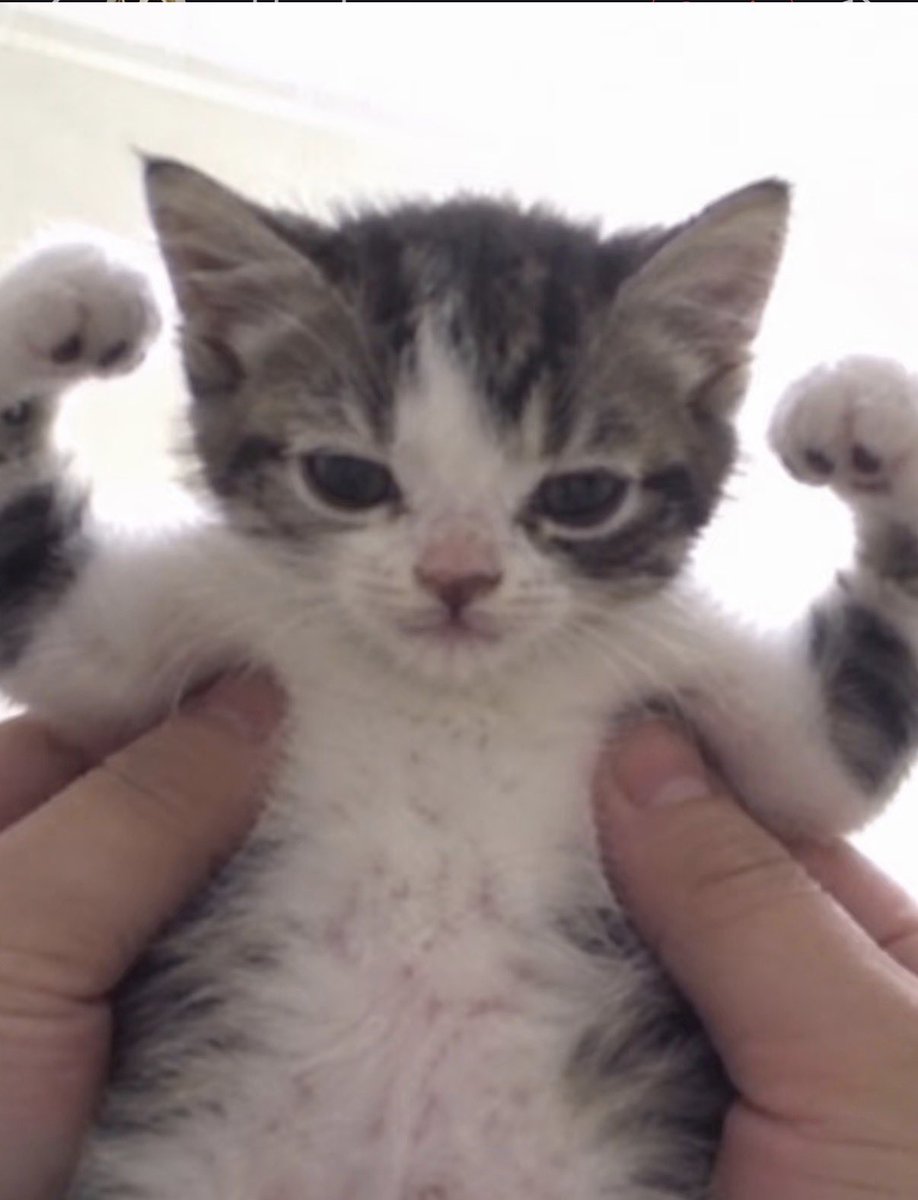 twaniimals's tweet photo. https://t.co/UzYN5eJBoU