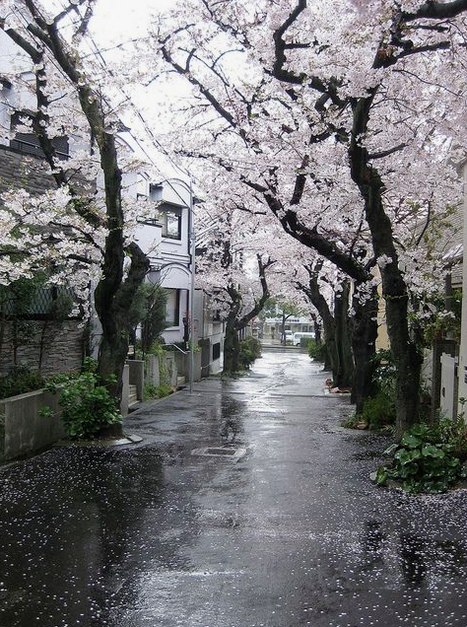 ShrishailMajjag's tweet photo. 美味しかったな〜。会計も3千円も行かなかったし、海見ながら温泉入ってサウナ水風呂入って外気浴して帰りに美味い飯食って、家でゲームする休日も悪くないんだよね。 https://t.co/AIzC4Zssen