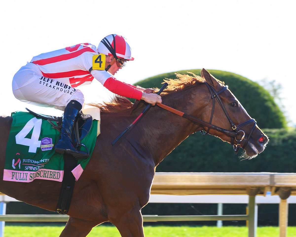 BH_AEberhardt's tweet photo. Small but MIGHTY as 3 go to post in the @JuddmonteFarms #Spinster at @Keenelandracing. #WAYI for the @BreedersCup #Distaff Fully Subscribed with Flavien Prat wins,
Counting Stars And Immersive In 2nd/3rd. B-Payson Stud, O-Klaravich Stables, T-Chad Brown. By #TiztheLaw #KeeSept https://t.co/3F5zf8gDfv