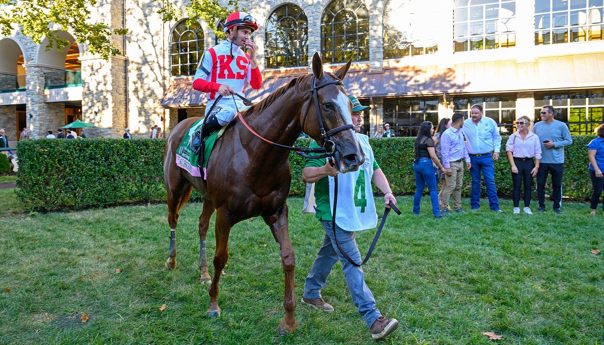 BH_AEberhardt's tweet photo. Small but MIGHTY as 3 go to post in the @JuddmonteFarms #Spinster at @Keenelandracing. #WAYI for the @BreedersCup #Distaff Fully Subscribed with Flavien Prat wins,
Counting Stars And Immersive In 2nd/3rd. B-Payson Stud, O-Klaravich Stables, T-Chad Brown. By #TiztheLaw #KeeSept https://t.co/3F5zf8gDfv
