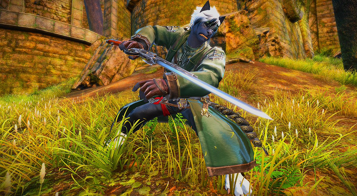 AnonRedWolf's tweet photo. The Wolf Unleashed. A new look for Aragan! https://t.co/wljqHCDCZO
