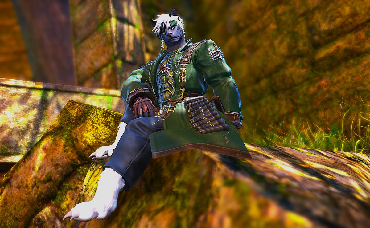 AnonRedWolf's tweet photo. The Wolf Unleashed. A new look for Aragan! https://t.co/wljqHCDCZO