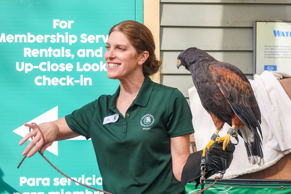 DenverZoo's tweet photo. Happy #WorldAnimalDay and #InternationalZookeeperDay! 🐾 

Today we celebrate two things that go hand in hand: the incredible animals who call DZCA home, and the dedicated Animal Care Specialists who show up for them every single day. 

From early morning feedings and enrichment to medical training, behavioral research, and field conservation, our team of passionate, skilled professionals ensures that every one of our 2,500+ animals thrives. They are the heartbeat of this organization, and the reason our animals can serve as ambassadors for their wild counterparts around the globe. 

To our entire Animal Care team: thank you. What you do makes a world of difference. 

#DenverZooConservationAlliance #AnimalCare #ZooKeepers #SavingWildlifeTogether