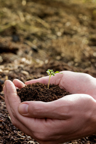 hasanadventuore's tweet photo. [Heart asks the soil quietly, every seed holds a story of waiting to bloom. ]， https://t.co/A12o8EqGOE