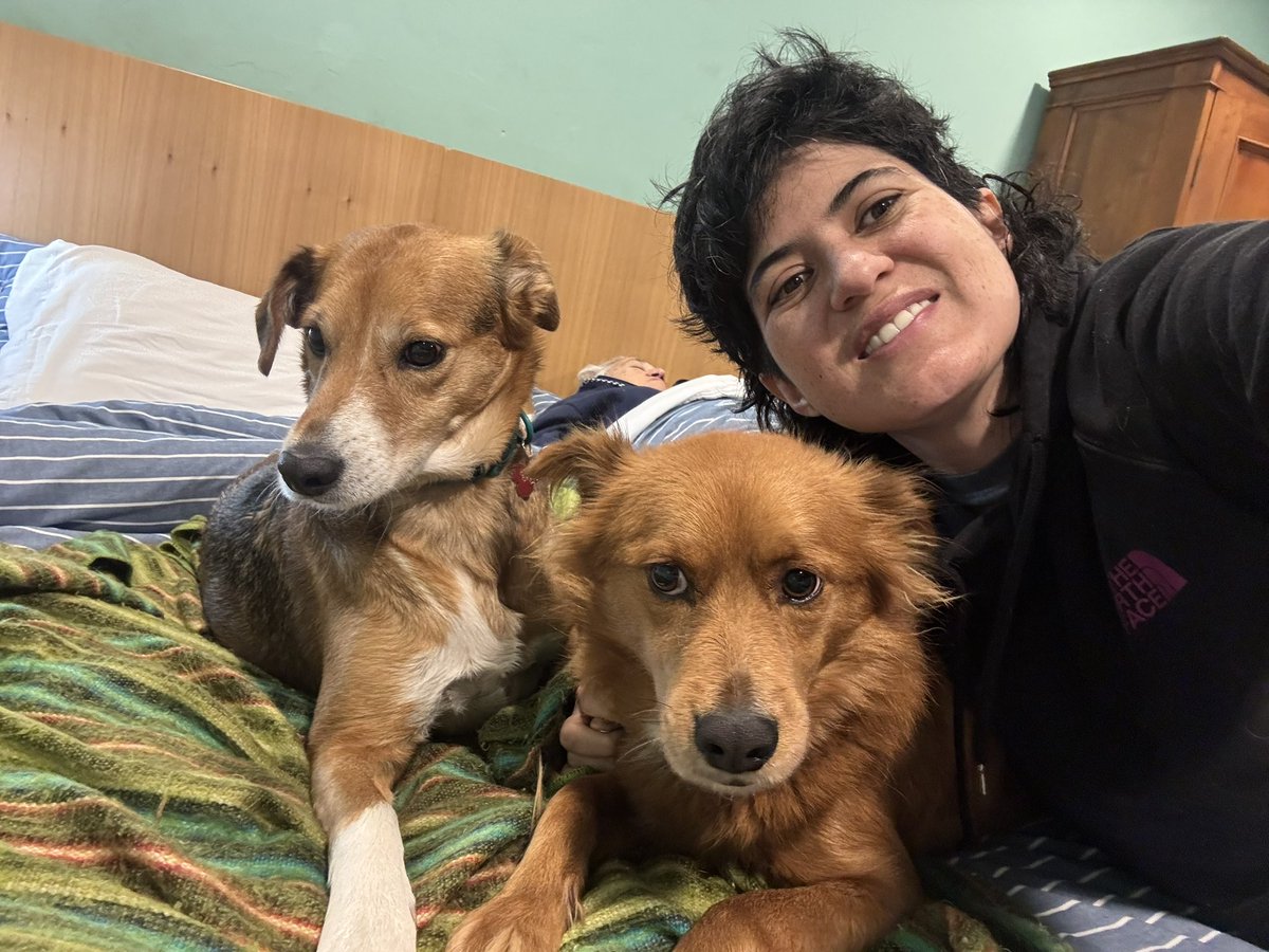 HerediaCarla's tweet photo. 💜Millones de mascotas alrededor del mundo recibieron sus bendiciones por el día de San Francisco de Asís, santo patrono de los animales.
Gracias a la vida por darme la oportunidad de compartir con estos gorditos Maxi y Choco 🐾. #adotanocompres https://t.co/tCROw5wNvU