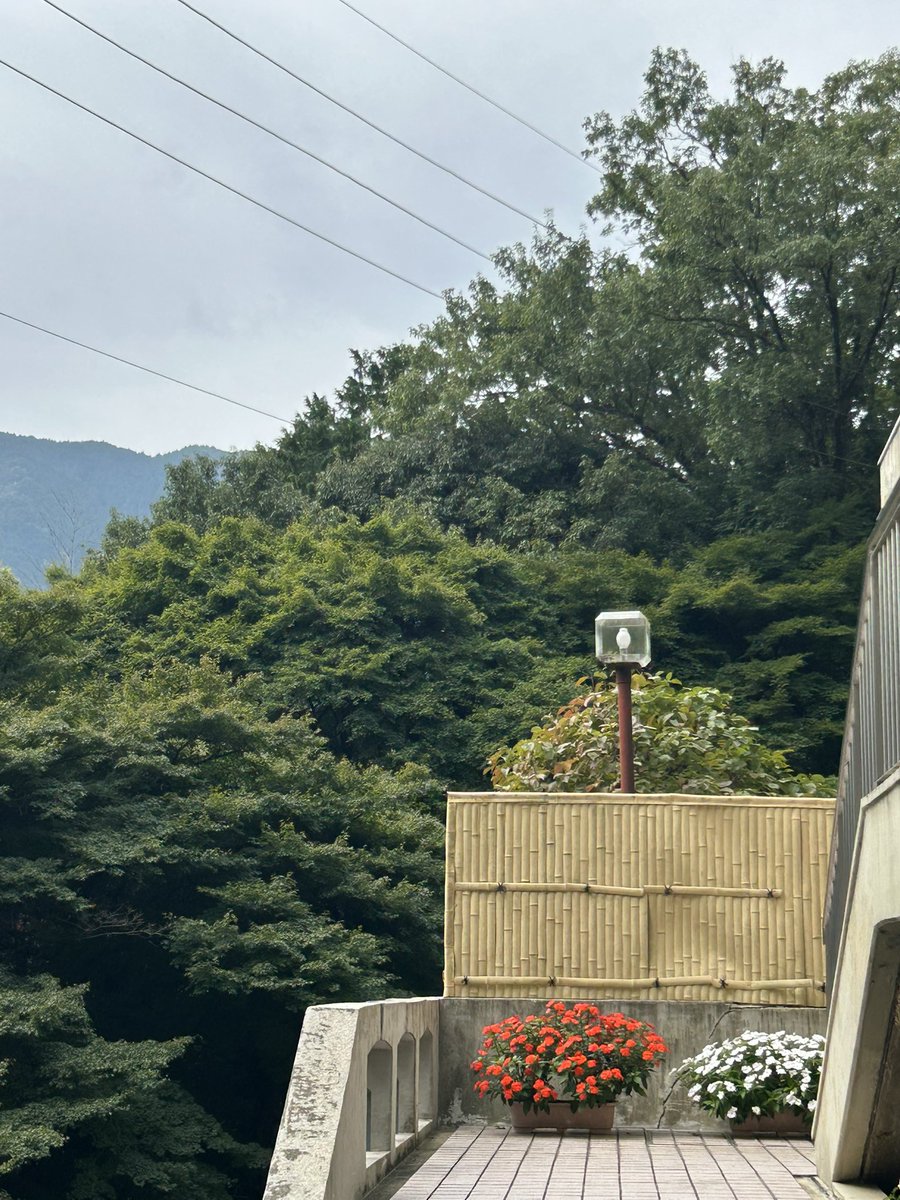 gerohidasanso's tweet photo. おはようございます。少し晴れ間が見えたかなぁ？と思ったら雨がバラバラ☂️少し肌寒い下呂温泉です。

本日の日帰り温泉♨️は午後3時からです。https://t.co/EM1WtrZ7ng

月曜日、がんばっていきましょ😊 https://t.co/LHZT1hYA32