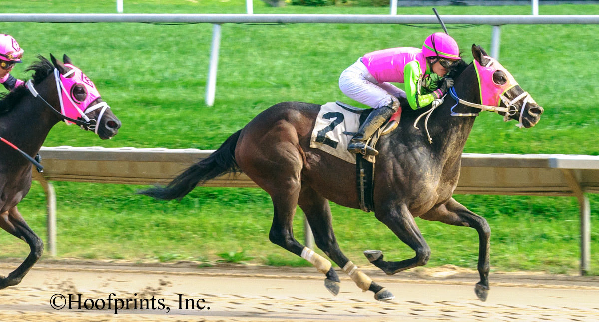 MarylandTB's tweet photo. #MDBred Barbadian Runner became a millionaire after taking Saturday’s $200,000 Battery Park Stakes at Delaware Park, pushing his career bankroll to more than $1.1 million! https://t.co/pywr3fxYnT