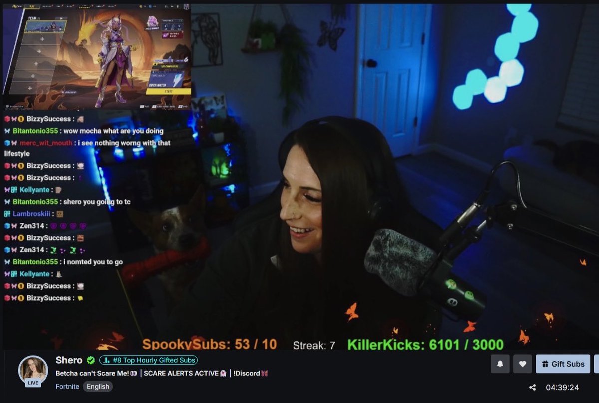 SheroStreams's tweet photo. #8 Top Hourly Gifted on @kick yesterday! 
W added feature, &amp; big shoutout to my community for making it all possible! 🙌🏼 
🙏🏼Thankful, Grateful, Blessed! 

Don’t count us out!! 💪🏼 

-Also! Look at my Maj boy in this pic🤭 https://t.co/QKGO4uN0gd
