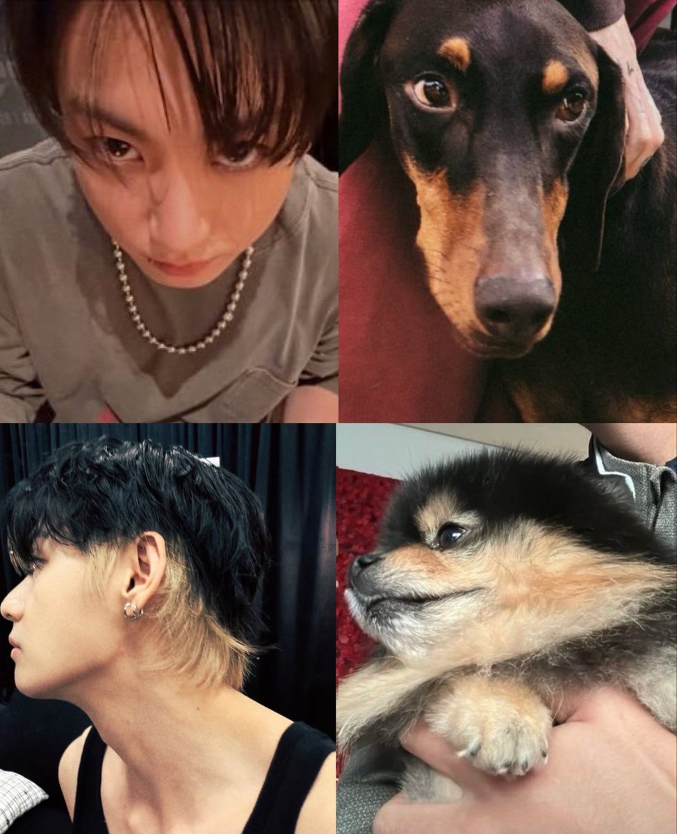 jungkovtae's tweet photo. like fathers                              like sons https://t.co/w2AZJiIGUB