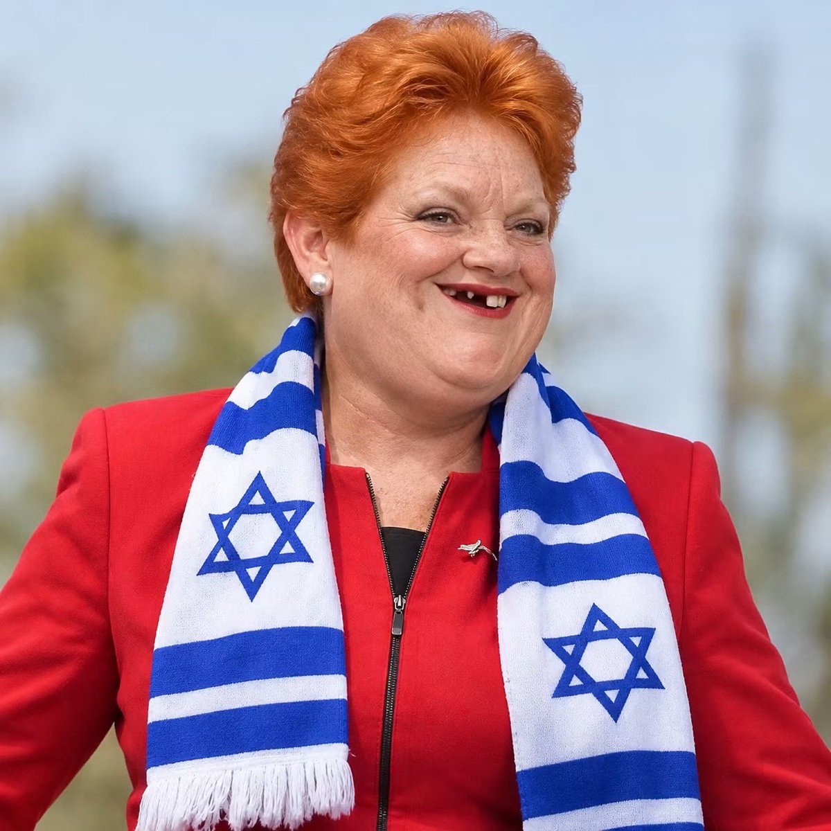 mdfatman2024's tweet photo. @OneNationAus https://t.co/g3iQdWas8i
