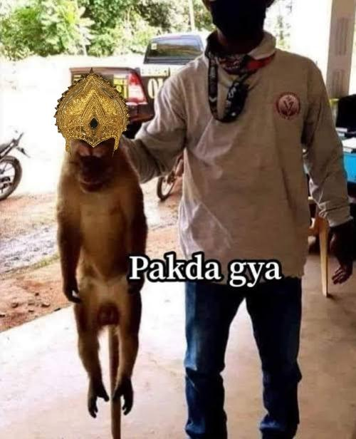 AnkitaGiggles's tweet photo. 🤣 https://t.co/2huEmJkDJW
