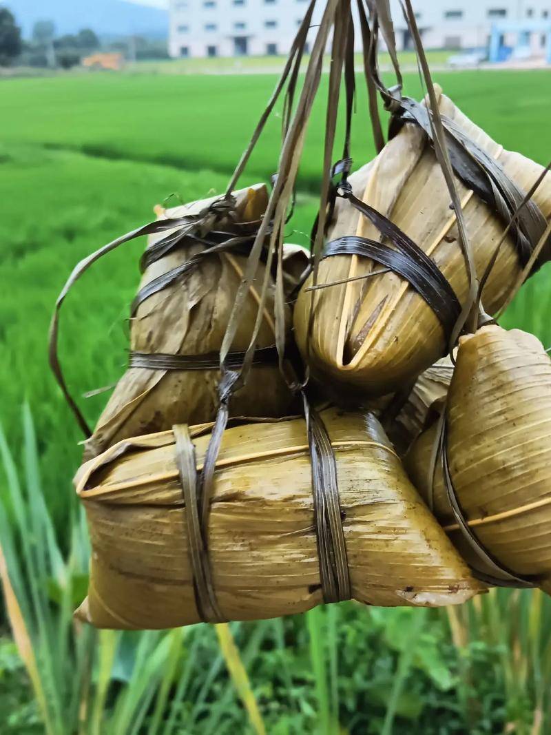 DwiMuthia6's tweet photo. Buzzing bees in the field, what a nice surprise! The glutinous rice dumplings are ready, and the atmosphere is so cozy! https://t.co/WIrqABnHXb