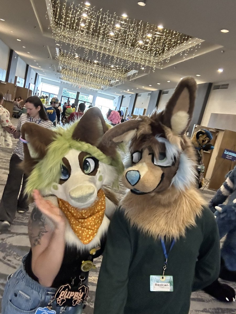 Raolcan's tweet photo. MAW was absolutely one of the highlights of my year! Made so many new friends and had an absolute blast performing. Thank you to everyone that made this con possible, love yall 💜
More pictures to come throughout the week :3
Pictured: Kiwi, @LittleAlphaPup @HyenaSniff Seaxine https://t.co/0VLAY5gr50