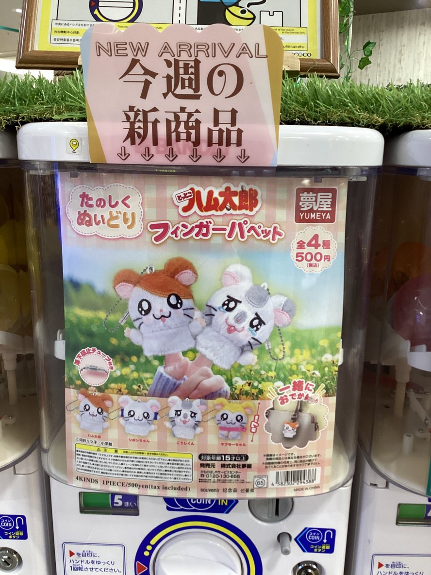 gashacoco 公式X（本部）の入荷情報の写真
