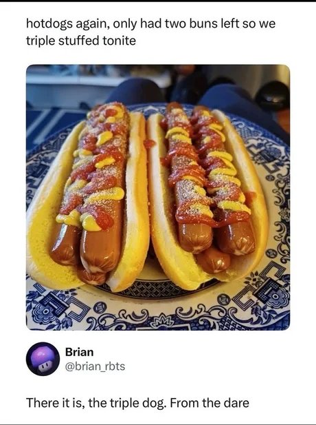 lasallads's tweet photo. #hotdogs #buns #stuffed #tripledogdare #dare https://t.co/HjZRh1y4Bq