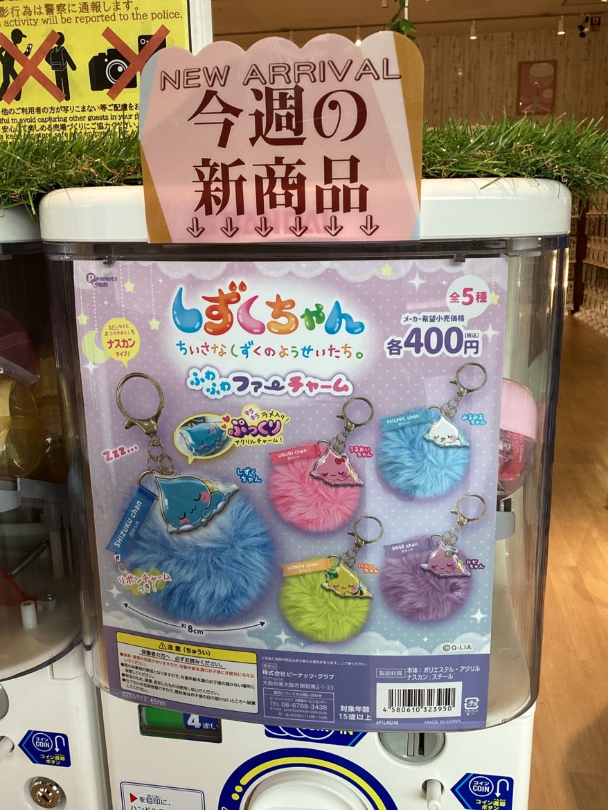 gashacoco 公式X（本部）の入荷情報の写真