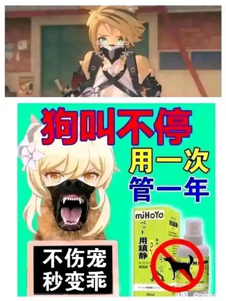 Howardnehn's tweet photo. @haoto_fun @Mo_Khairy_ElD 哈哈抱歉呢！我在歐洲也有房子，不像你被妓女生下來，還沒爹只能找米爹盡孝，畢竟連米哈油都知道你們要的是什麼父母，翻牆的窮光蛋米閹種 https://t.co/B32D4stJ0b