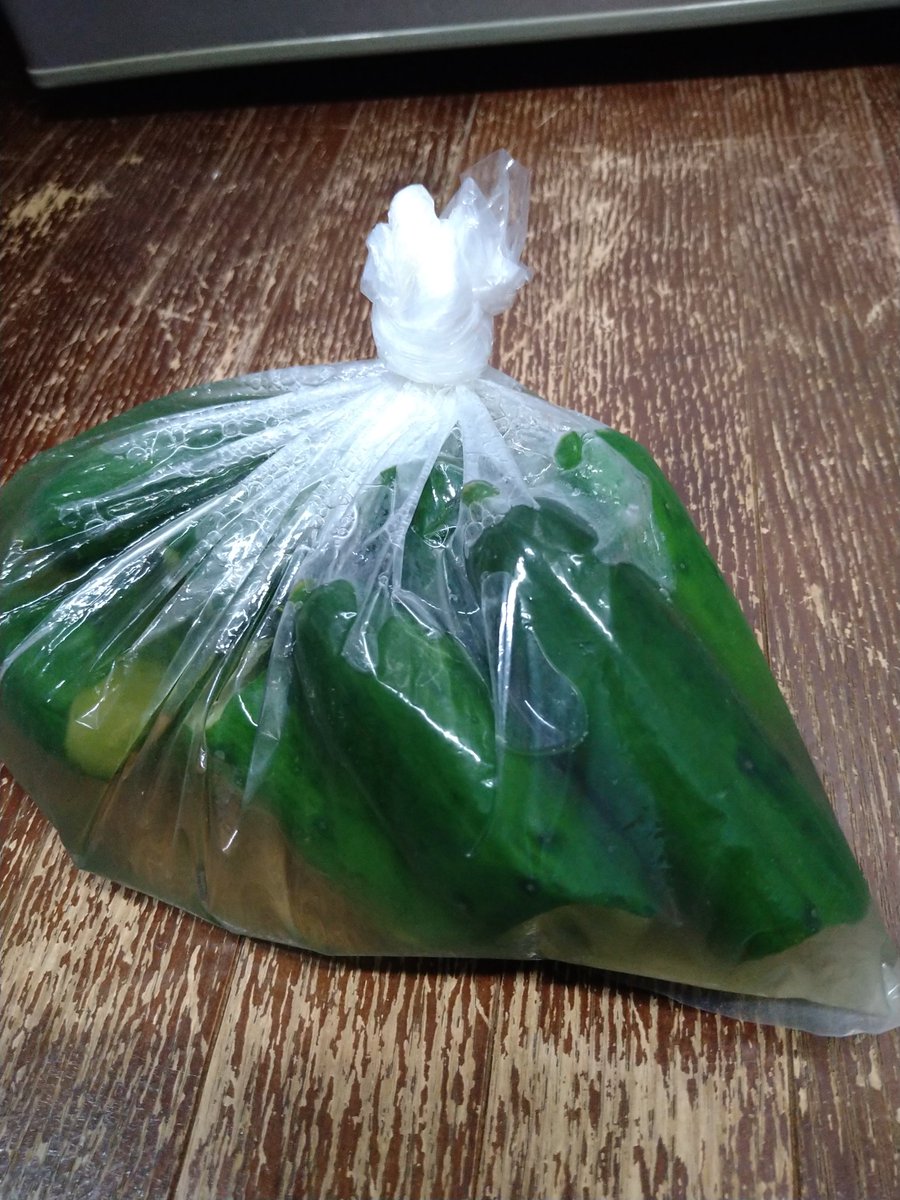 42PyDulome7884's tweet photo. きゅうり🥒の浅漬け作ろうと思い、めんどくさいので、手で半分くらいに折って漬けたんだけど

1日経って食べてみたら
まだ、バリバリの生だった！！笑😆
ダメだこりゃ!
後３日くらい漬けてみるか
ww https://t.co/Jf98oedGRm