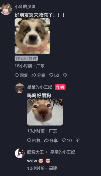 0xLTGaba's tweet photo. 宝宝咪的好朋友 汉堡 https://t.co/gmZIRdzGaK