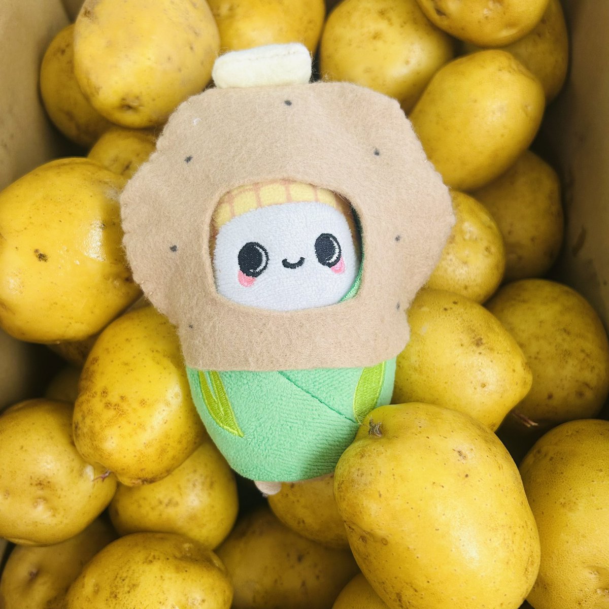 toukibi_wagon's tweet photo. コーンにちは🌽
今日から18日までのワゴン営業時間は9時〜17時となりますのでよろしくお願いいたします😌

秋が深まるということは新じゃがの美味しい季節🥰🥔
とうきびと一緒にほくほくのじゃがバターも食べてくださいね☺️
今週も楽しくいきましょ〜🤗✨

#企業公式相互フォロー https://t.co/7b7yfVRFmg
