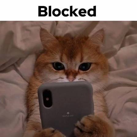realsoleysage's tweet photo. Me: *Liked* a findom tweet/meme
Them: *in my inbox* Hello Dear
Me:
#finsub #walletdrain #paypig #financialdomination #whales #subs #fin #findomme #moneyplay #cashslave #paypigs #submissive #tribute #findom #buyingcontent #sellingcontent https://t.co/WQYz5hPVZP