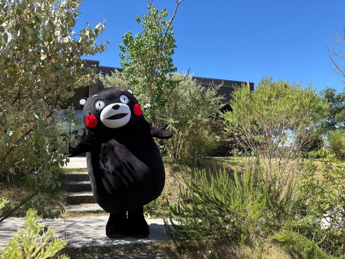 55_kumamon's tweet photo. おはくま～！ https://t.co/mrNiKPMMdm