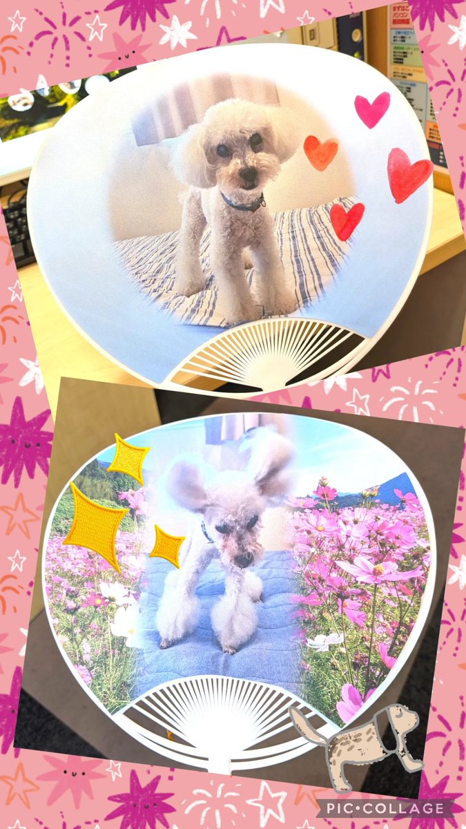 hellopc_noichi's tweet photo. かわいいワンちゃんの #うちわ 、出来上がりました～🐶

荒ぶってるワンちゃん好きすぎます(笑)

おばあさまへのプレゼントだそうです😊
喜んでもらえたようで良かったです！
 #香南市パソコン教室  #スキルアップ https://t.co/JY1qYnFvPX