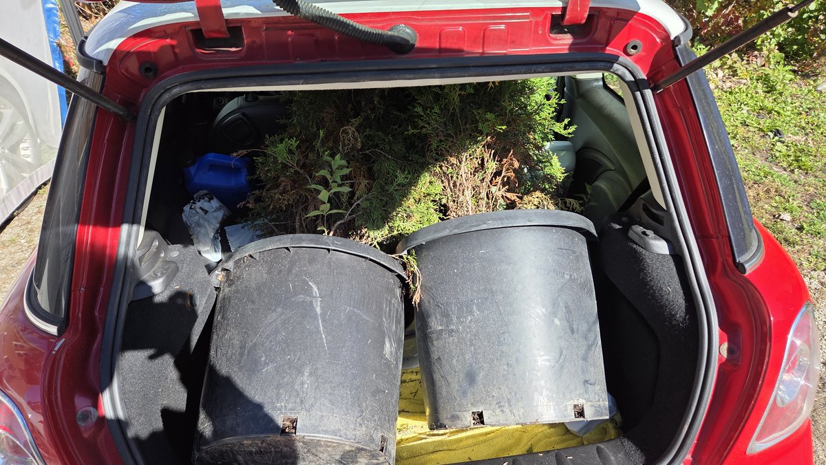 MidwesternFuzz's tweet photo. Who needs a truck anyways? https://t.co/C9wBlYzJqk