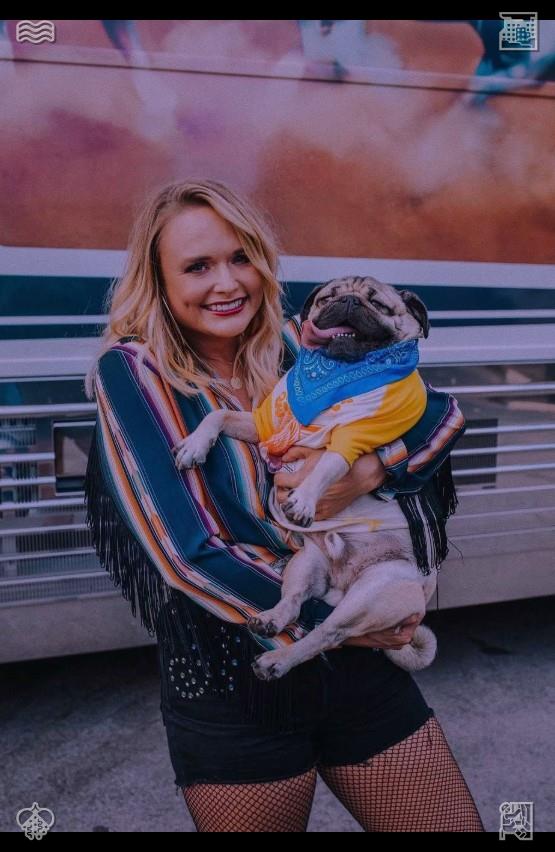 shawtskrilla's tweet photo. Mia texted her: “You look like a rockstar. Jax is going to lose his mind. Don’t forget to take selfies at the concert—I want to see everything.��🔏Cat purrs in my hand https://t.co/7mTIF8FtHY