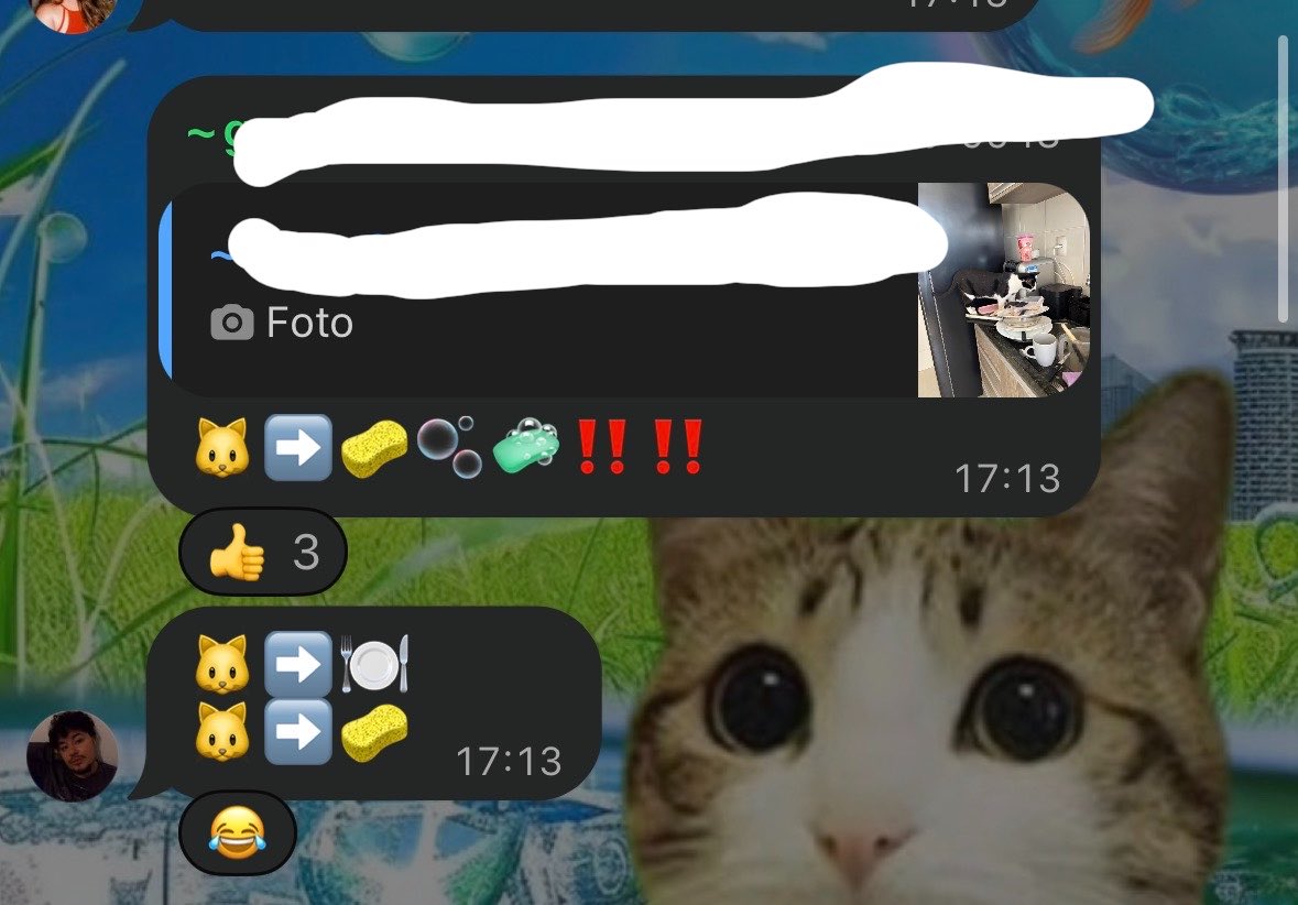 bzonha's tweet photo. Gente a sequência de hoje do grupo Gatos em Silêncio https://t.co/77VCEIltxx