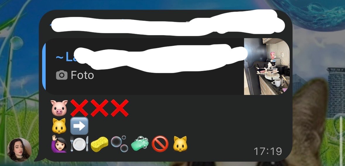 bzonha's tweet photo. Gente a sequência de hoje do grupo Gatos em Silêncio https://t.co/77VCEIltxx