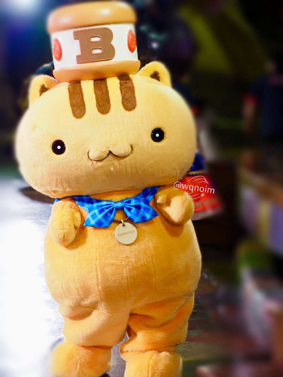 wqnoim's tweet photo. 朝からかわいいがカンスト(/・ω・)/💞 https://t.co/Gg6CsHWFJt