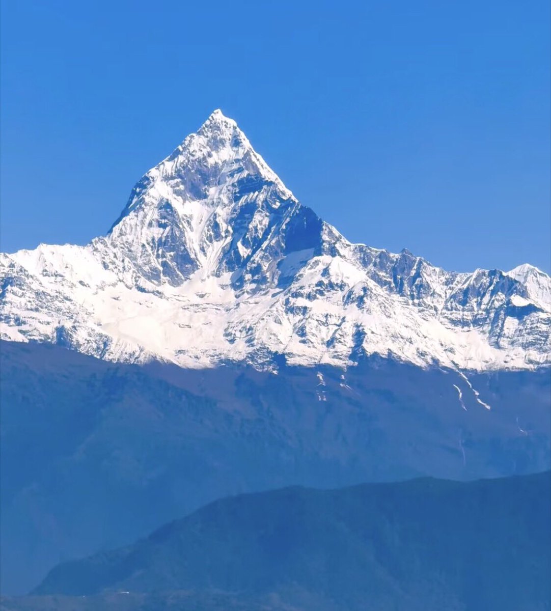 badribinod's tweet photo. यदि कसैले तपाईको अपमान गर्छ भने उ माथि खुसी र शुभकामनारूपी फूलहरू वर्षाईदिनुस्। 
   -शुभ विहानी । सवैको कल्याण होस । https://t.co/rbF6QQK2NW