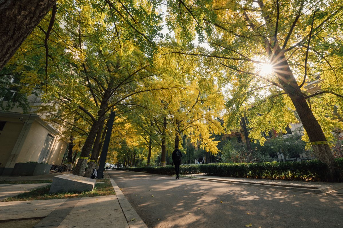 USTB1952's tweet photo. Leaves turning gold, birds chirping on the branches, campus lights flickering on at dusk, and star trails sweeping across the night sky.From daylight to starlight, every moment at USTB holds a scene worth freezing in time.
#USTB #CampusLife #AutumnOnCampus #StarryNight https://t.co/qQiY0yylx5