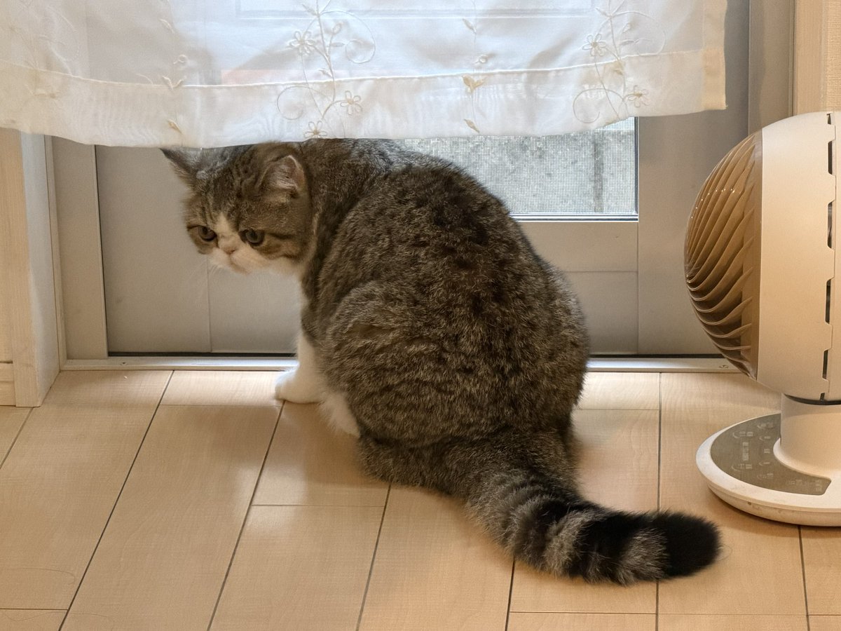 0Doragonhe42525's tweet photo. ケツヨウビ
今週も程良く頑張って行きましょう💪
あと4日働いたら連休
金曜:大阪2nd Line
土曜:川崎JUNEROCKFES
行かれる方々よろしくお願いします
お世話になります🫡
#Cloudy
#bokula.
#ジエンプティ
#ジュンロック https://t.co/3JiJfHnr1k