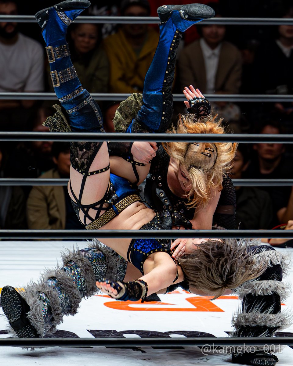 kameko_001's tweet photo. #ビー・プレストリー 選手
【撮影日】2026.09.29
【撮影場所】後楽園ホール
#STARDOM #スターダム #beapriestley https://t.co/i9uFT8NT4B