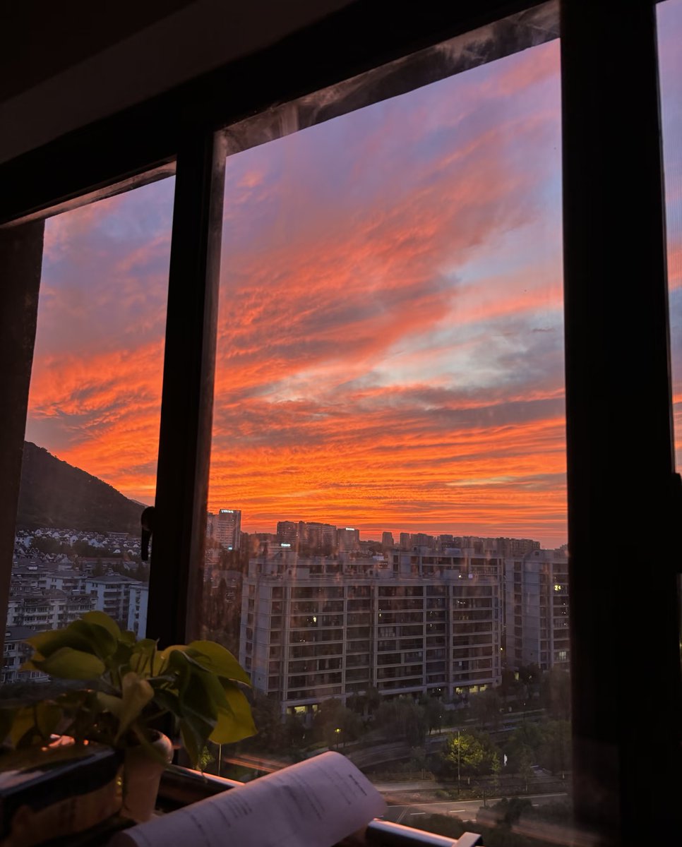 linyuasy's tweet photo. Keeping up the image of a traditionally genius good student is exhausting, so I think that's why I moved out of the dorm—I can't handle sharing a cramped space with others when my mind is so restless and my desires so chaotic😇 https://t.co/zR8pn5uYJb