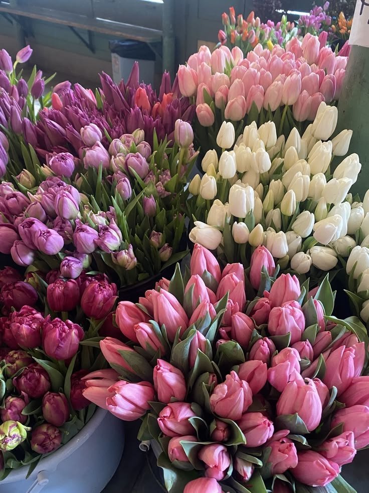 Flowersidmb's tweet photo. https://t.co/QkQZTdkANm