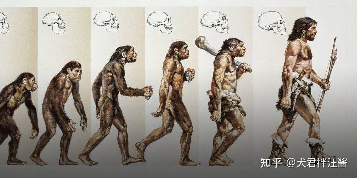 FionaTorreixvo's tweet photo. Fascinating insights into the Australopithecus era! Exploring early human evolution never gets old. https://t.co/oqvjsjs0Om