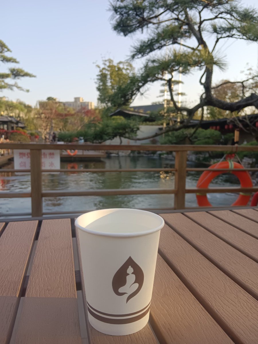 FrostyBay9dvx's tweet photo. [A cozy morning by the old camphor tree, with a cool breeze and a cup of hot tea—perfect little moments!] https://t.co/guEAWE3ksw