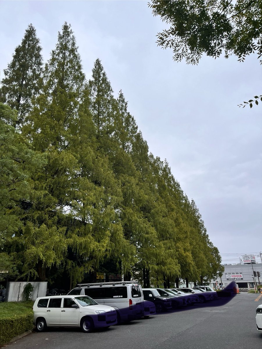 UseInc's tweet photo. 今日はどんより空です。

日々の気温差があり、
衣替えのタイミングがつかめません💦

早く秋らしい気候を楽しみたいです🍂🍁

#企業公式 https://t.co/nPxFNGVx3G