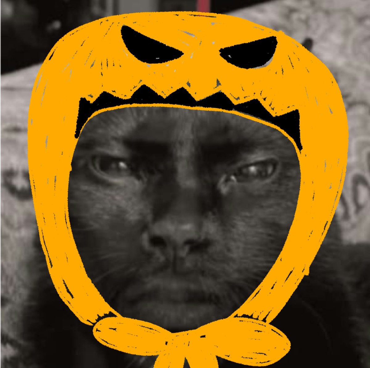 lukqqlic's tweet photo. Feliz mes de las calabazas amigos https://t.co/Y71t04YcbK