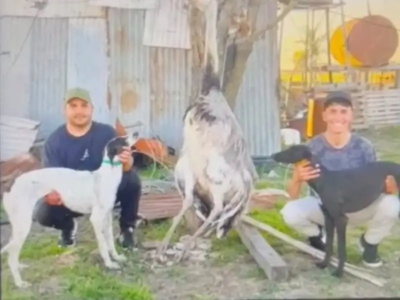 andresiquiroz's tweet photo. Matías Matkovic (25 años) y Rubén Nahuel Martínez (31 años) son los nombre de los HDP que entraron a un campo y mataron con perros a un ñandu que era la mascota de un hombre. Si la Justicia de mierda que tenemos se lava las manos, que los argentinos impartan Justicia. https://t.co/zHwlgqzhKP