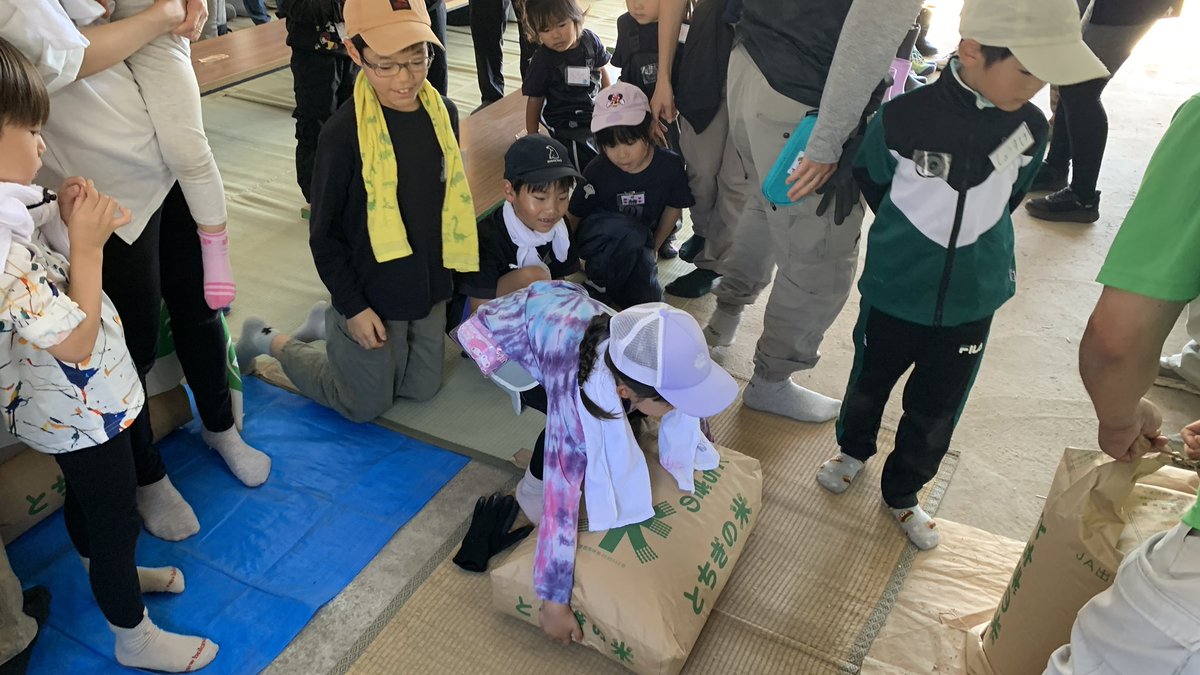 shiobara's tweet photo. ほんと神✨✨
いや、みんなどんだけ日��ろの行いがいいんですか⁉️

日曜日は、
「毎日食べるご飯の秘密のぞいてみよう！田んぼで学ぶ稲作体験in那須塩原」の最終回、稲刈り体験でした❣️

いや、ほんと学ぶことをたくさんありすぎて楽しかった〜✨✨🌾 https://t.co/W2kFlFzCnl