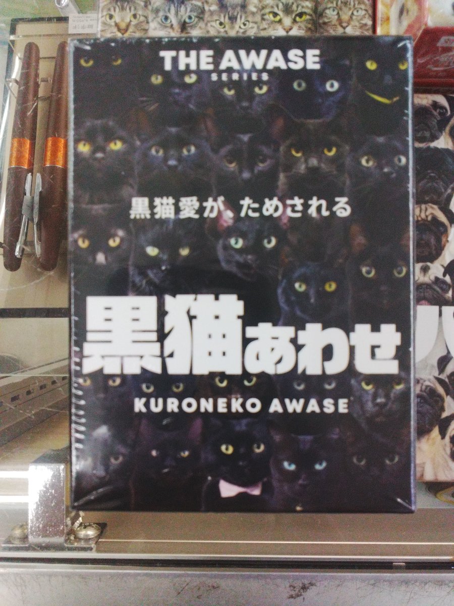 seibunkantoyoak's tweet photo. 愛が試される「黒猫あわせ」「キジトラあわせ」が入荷しました。そっくりな動物たちから正しいペアを見つける神経衰弱ゲームです。他にも「柴あわせ」「ポメ��わせ」「パグあわせ」など色々あります。 https://t.co/LnBJJWuGXe