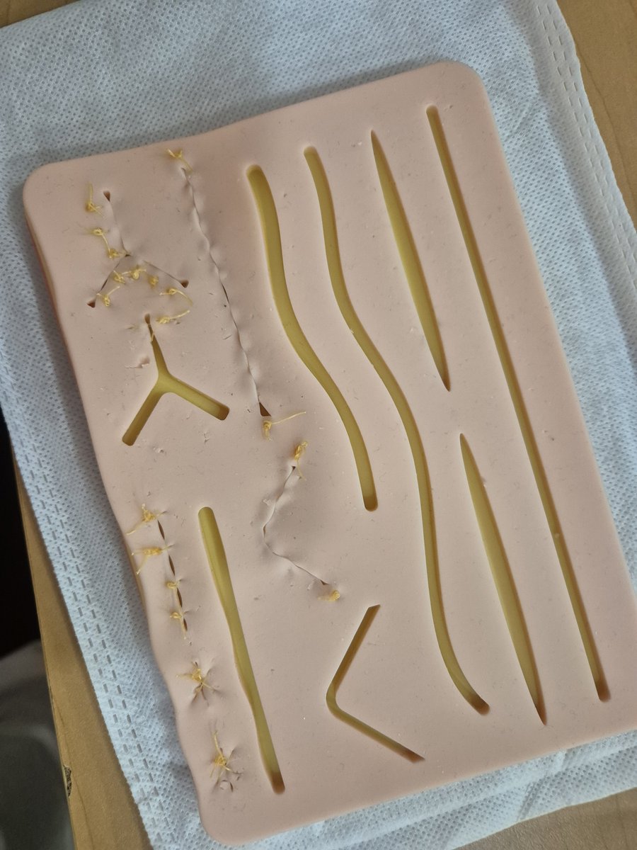 AikoIriska's tweet photo. Practicando suturas ✨️
#medicalstudent #mpss #medicina #suturas #practica https://t.co/dG0CvWD1up